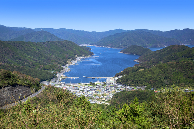 佐伯市沿岸部・山間部
山から望む湾